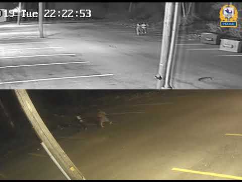 Surveillance footage of Chomedey container fires