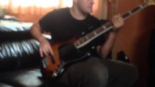 Snakes Bass cover no doubt