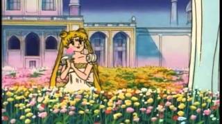 sailormoon my only love