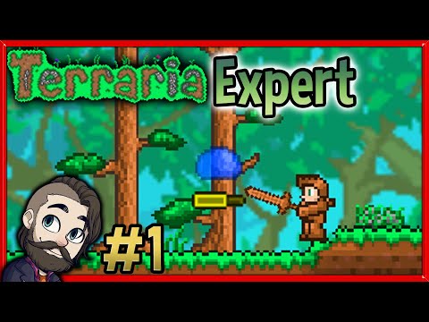 Terraria Expert Mode 1.3.5 Gameplay 🔴 Part 1 ► Let's Play Walkthrough