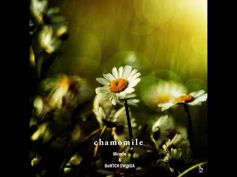 Stress Free / Miracle & BoNTCH SWiNGA feat.炉馬(kick tea)