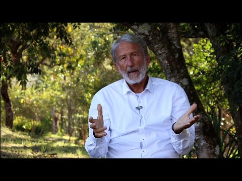 Qual a diferença entre SANTO DAIME e AYAHUASCA?