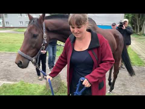 Hrdina z Beňova. Sacamiro vyhrál 133. ročník Velké pardubické