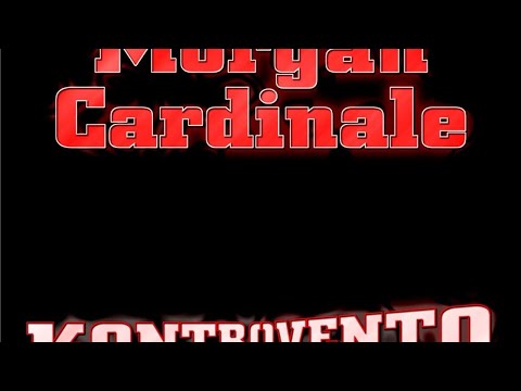 Morgan Cardinale - Black Turin (Nero Corbino Mix)