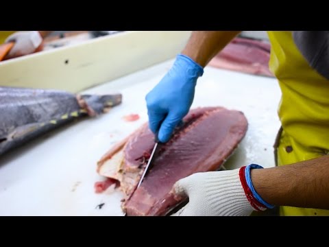 download lagu mp3 mp4 Tombo Fish, download lagu Tombo Fish gratis, unduh video klip Tombo Fish