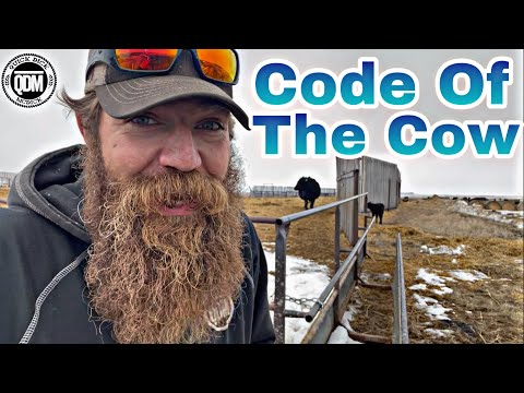 Code of the Cow