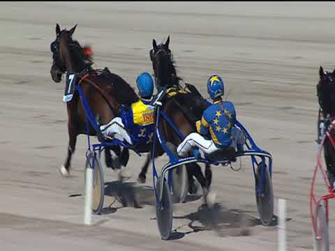 Trotto 23/09/2018 - 4ª corsa