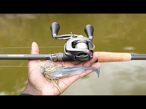 The BEST Day Of Bass Fishing I've Ever Had! (Record Broken!)