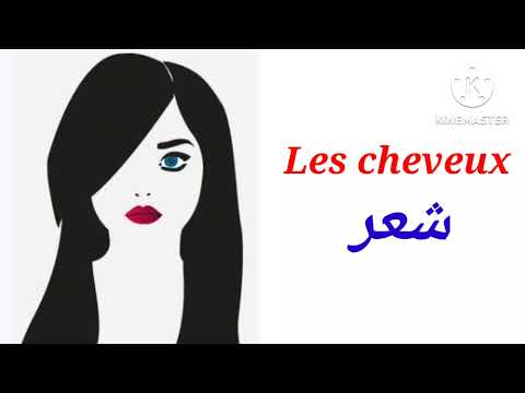 لنتعرف على أجزاء الوجه Les parties du visage 😉🤗