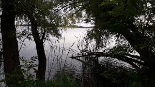 Fancy   Wait by the Radio New Maxi by ingo silber