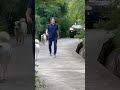 Chairman Imran Khan At Bani Gala
