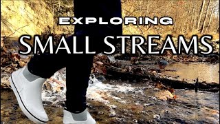 Chasing New Species in Mountain Streams!