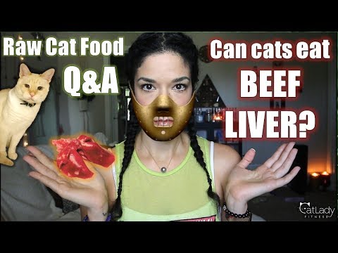 Raw Cat Food Q&A: Can you use BEEF (or lamb, veal, duck) liver instead of Chicken Liver? 🤔