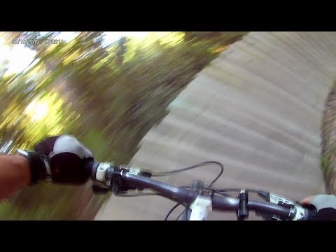 download lagu mp3 mp4 Black Bear Bbq Mt Dora, download lagu Black Bear Bbq Mt Dora gratis, unduh video klip Black Bear Bbq Mt Dora