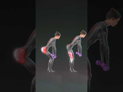 Glutes vs. Hamstrings in Deadlifts: Key Differences