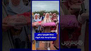 وسط الفيضانات.. عمالة القنيطرة تحتفل بعقيقة مولودة بخيام الإيواء thumbnail