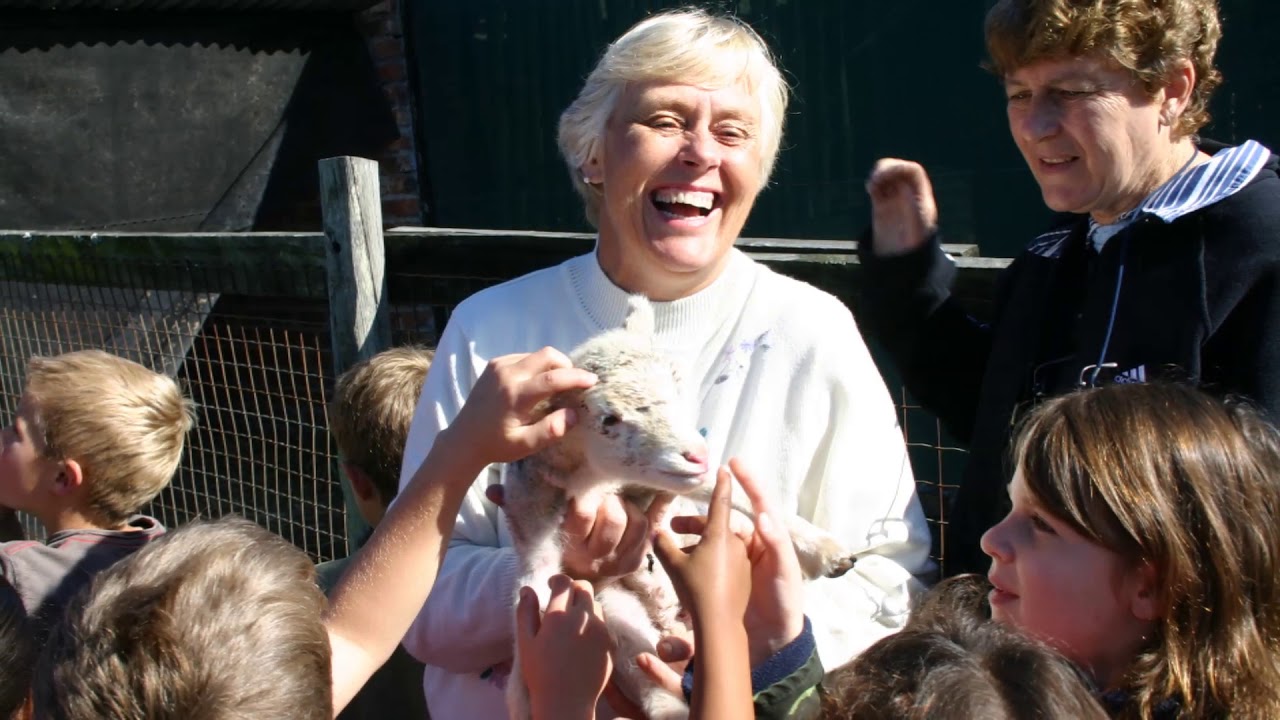 Merrifield - 1997 to 2019