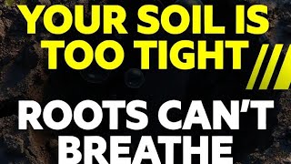 “Soil Density Explained: Why Your Plants Struggle &amp; How to Fix Compacted Soil FAST”