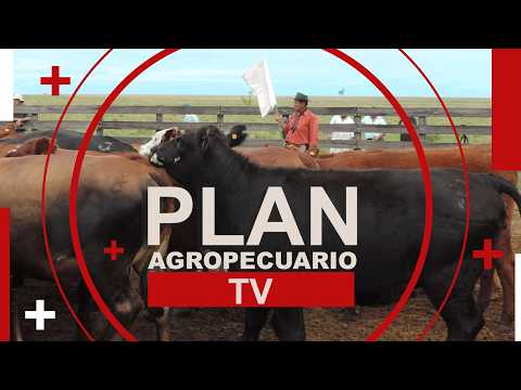 Programa Plan Agropecuario TV del 27 de abril de 2026