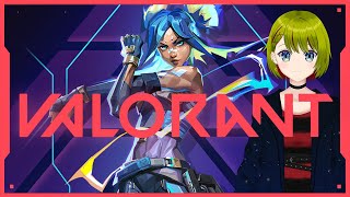 【#VALORANT】KAIKA -Regular Custom Match- 葉月視点【#個人Vtuber/#葉月月渚】