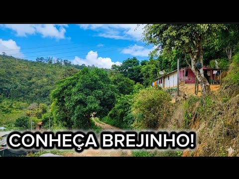Conhecendo o Sítio Brejinho no município de Gravatá-PE 🌿