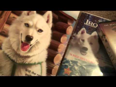 My Siberian Husky Collection