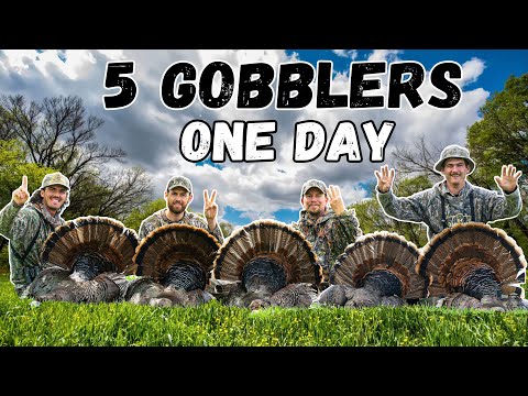 BEST DAY of TURKEY HUNTING EVER??? - (5 GOBBLERS in 12 HOURS!!!)