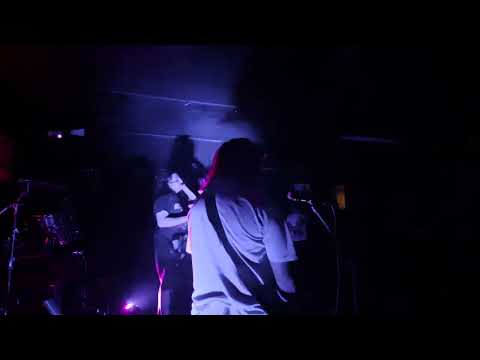 Fauna kadaverika en vivo 28-11-2025 