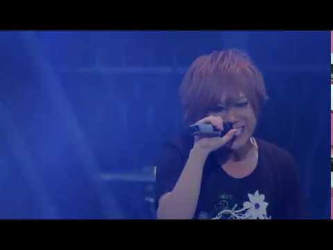 THE KIDDIE - AO (LIVE)