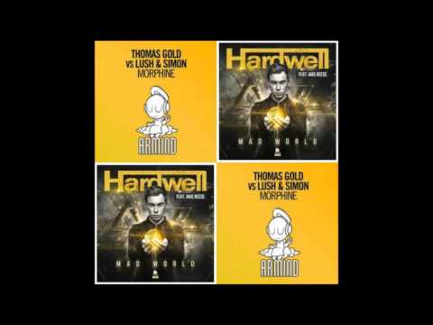 Lush & Simon vs Thomas Gold vs Hardwell Feat Jake Reese - Mad Morphine (Desno Mashup)
