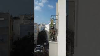 דרך להסתיר שכן