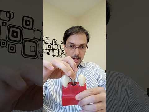 Luis Gustavo Bolognesi-7