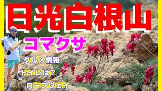 [Mt. Nikko Shirane] A flower garden in the sky where Dicentra blooms in full bloom ♪ A spectacula...