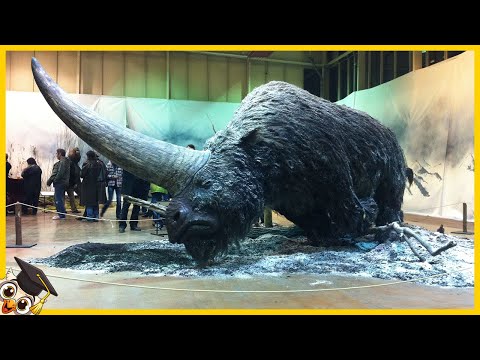 10 Animaux Disparus que les Scientifiques Veulent Faire Revivre