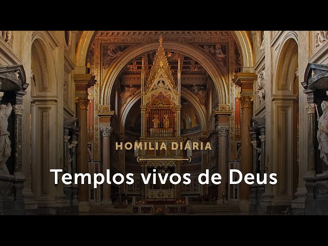 Видео Произношение festa в Португальский Видео Произношение festa в Португальский