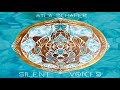 Ayla Schafer ⋄ Silent Voices