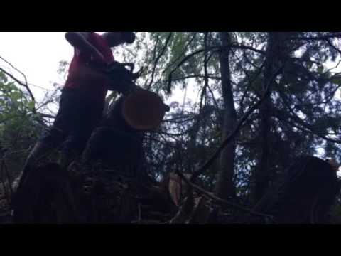 Miller Mod Finished Ported 4300 Makita/421 Dolmar