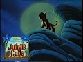 Disney S Jungle Cubs Cub House Fun Bumpers