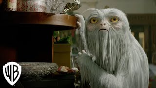 Creatures: Demiguise | Fantastic Beasts and Where to Find Them | Warner Bros. Entertainment