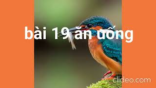 bài 19 ăn uống