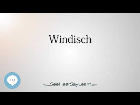 Windisch (How to Pronounce Cities of the World)💬⭐🌍✅