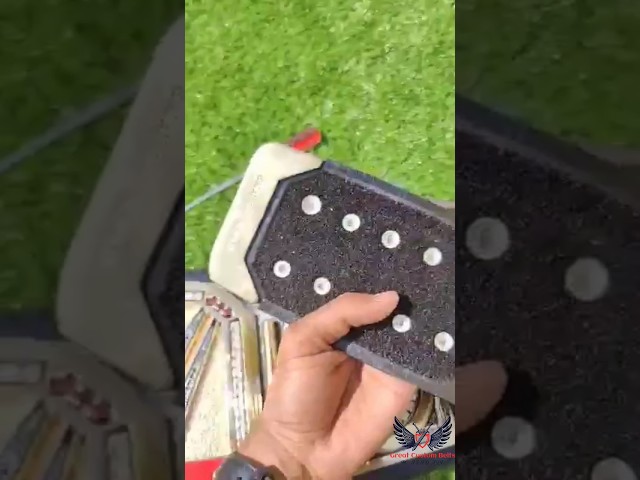 Vídeo relacionado con Champion Belt WWE Riñonera negra | Accesorios WWE, Metálico, Standard