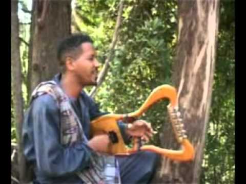 Dibabey- Temesgen Zegeye- New Tigrigna Guayla Music