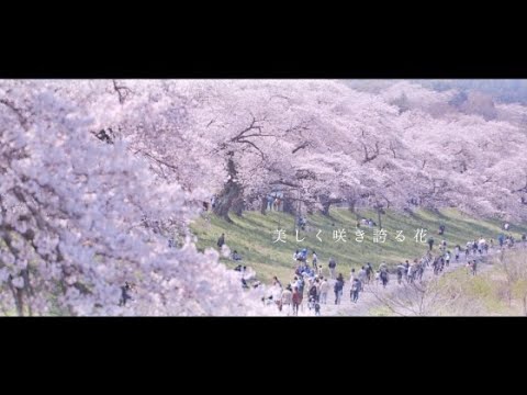 SHIBATA tte IINA　（Shibata Town's PR VIDEO Main knitting 12min）