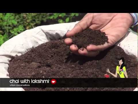 What Cuba can teach America about organic farming