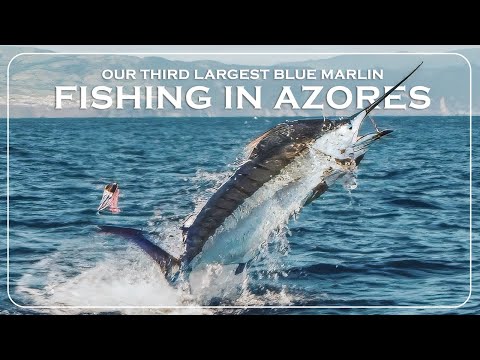 Big Game Fishing Azores — 3rd Biggest Fish of the World Tour!