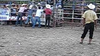 preview picture of video 'guarnecia fiestas 2010 JARIPEO parte 7'