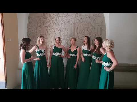 Klapa Vidulice - Perivoju, cviće moje