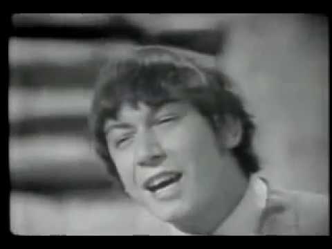 The Animals - It's My Life