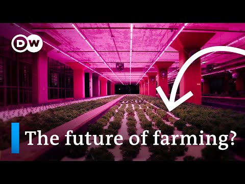 Aquaponics: Why we should be putting fish in our farms